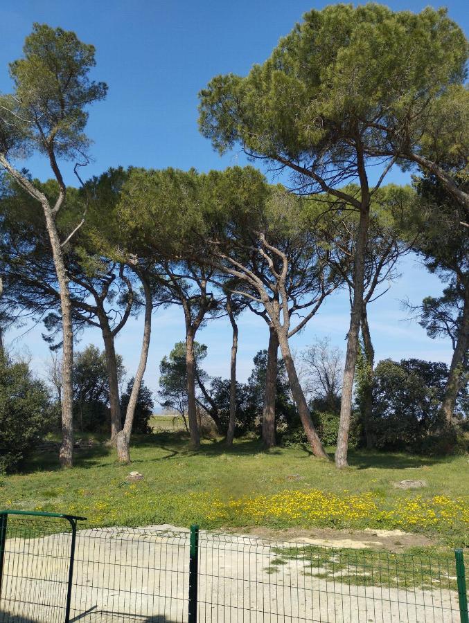 Appartement Meuble Et Tout Confort, Au Milieu De La Campagne Saint-Paul-Trois-Chateaux Εξωτερικό φωτογραφία